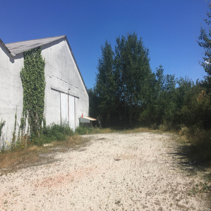Vente Immobilier Professionnel Entrepôt Léognan (33850)